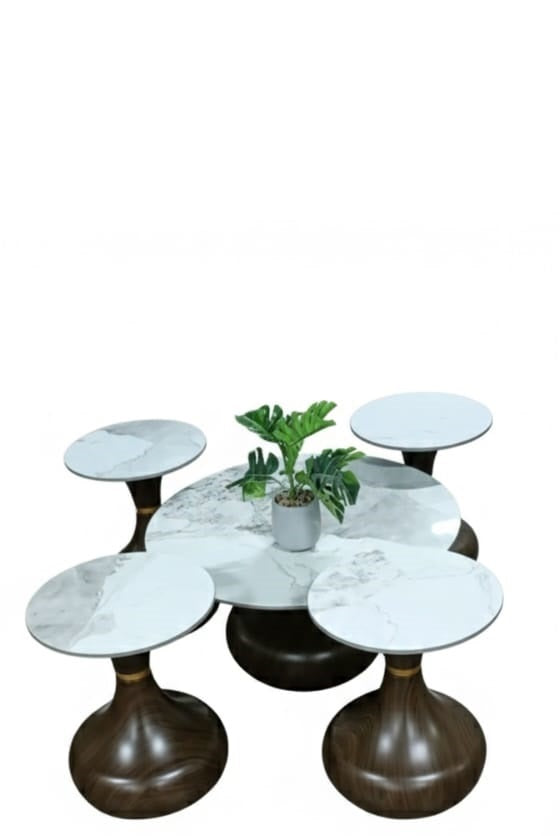 Lovely Homes Tables Set 1 plus 4