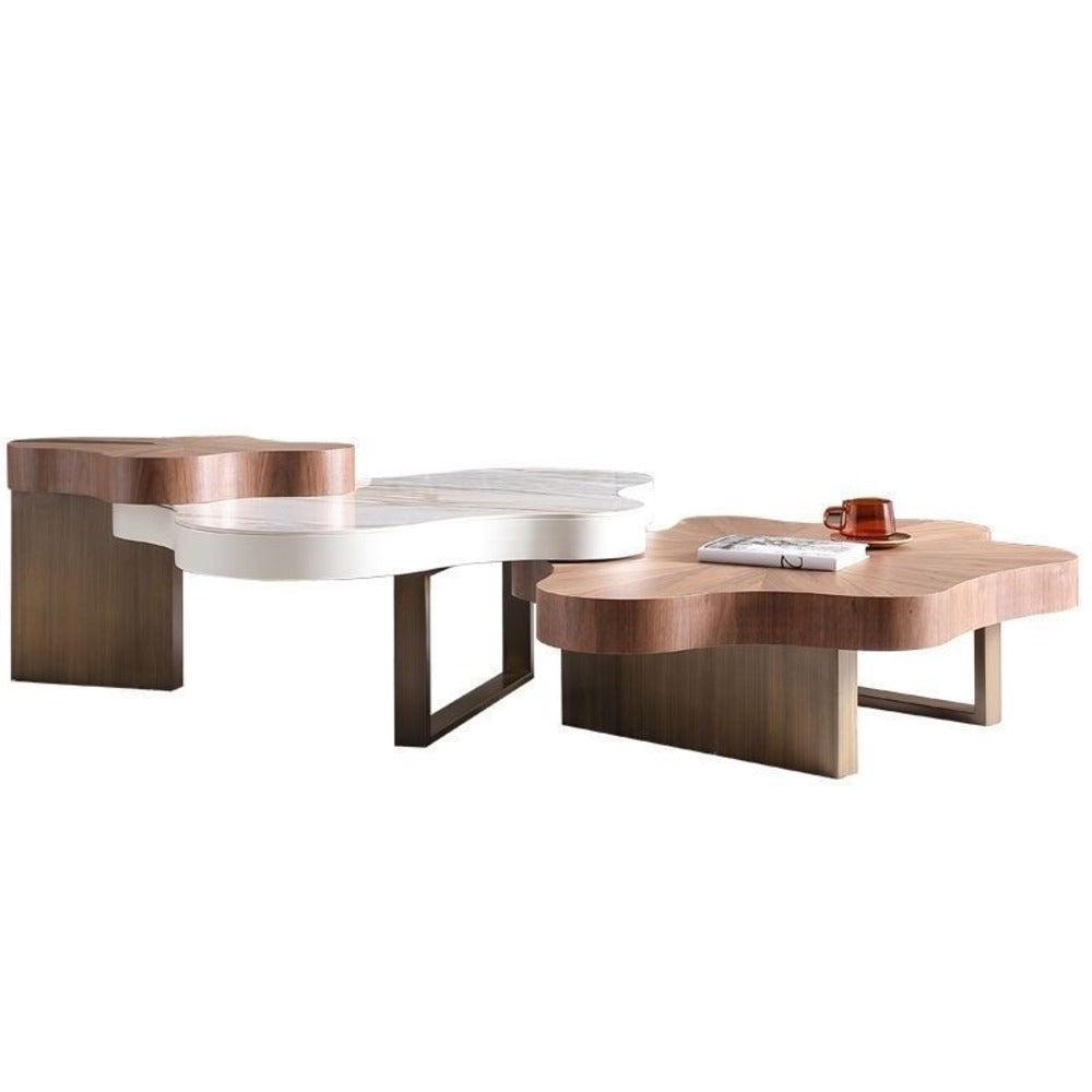 Coffee table ; Luxury coffee table ; coffee table set ; simple coffee table ; living room table ; sofa table ; home table ; table ; tables ; unique table ; modern table ; casual table ; Modern and distinctive design .